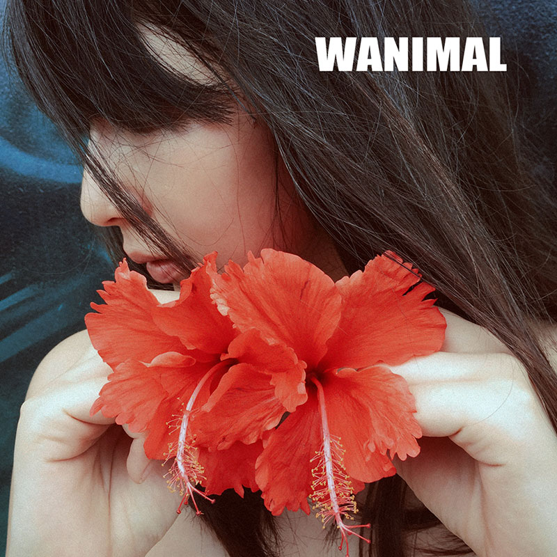 wanimalCosplay写真作品全集