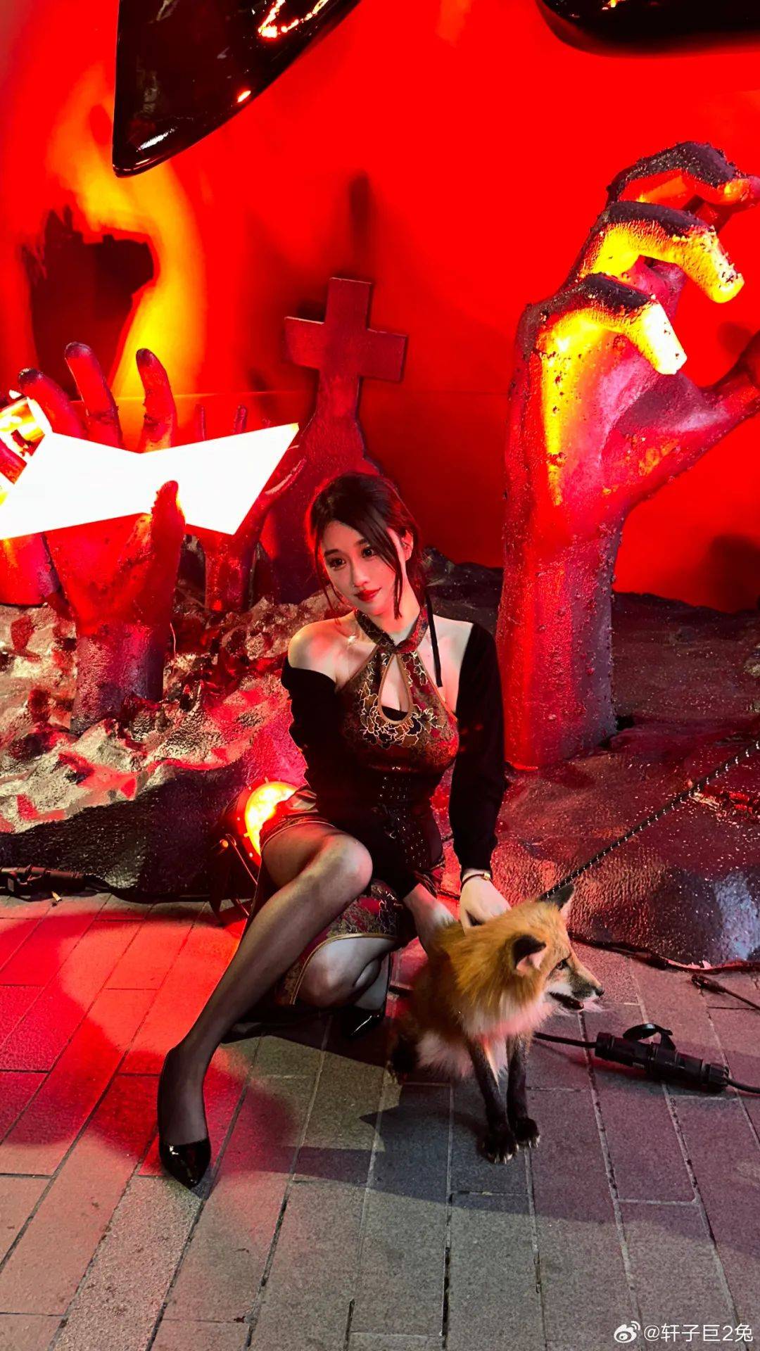 轩子巨二兔精选写真图集